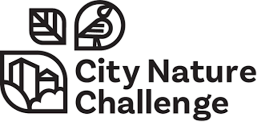 Image for event: City Nature Challenge 