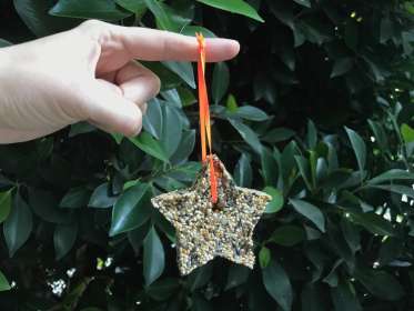 Image for event: DIY Takeaway: Cookie Cutter Bird Feeders