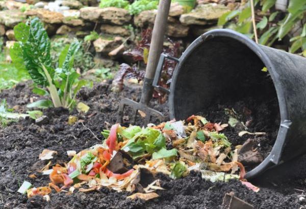Image for event: Expert Tips for Backyard Composting