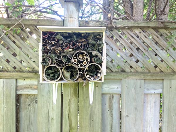 Image for event: Beneficial Bugs: Bee &amp; Bug Hotels