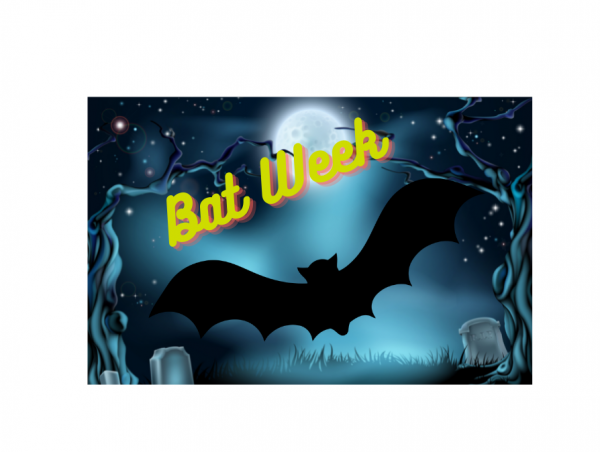 Image for event: Bat Diorama