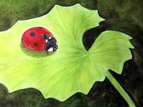 Image for event: Lady Luck: Ladybug in Watercolour