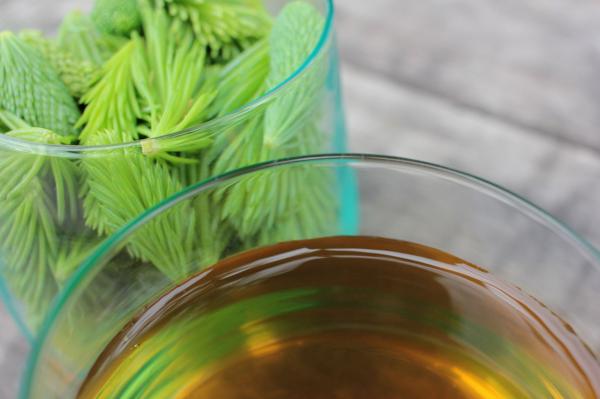 Image for event: Medicinal Properties of Tea with Edible Wild Food