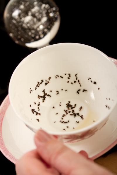 Image for event: Tea Leaf Reading Basics with Madame Butterfly