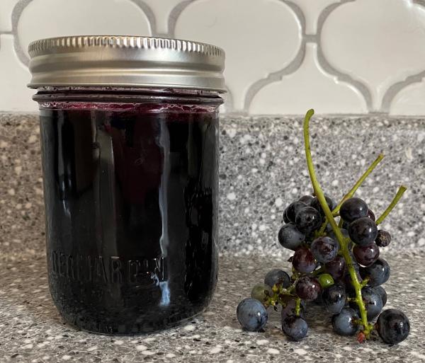 Image for event: Wild Grape Foraging &amp; Jelly Making