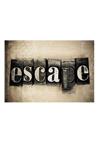 Image for event: Wild Escape Room